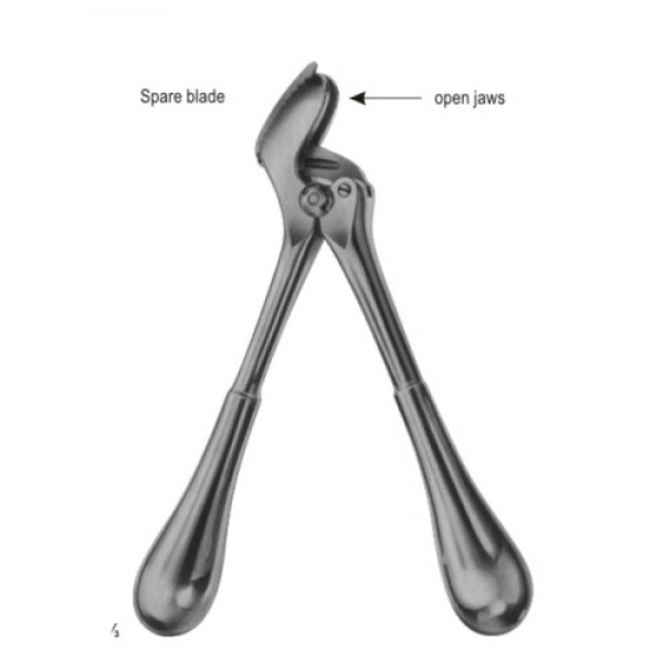Plaster Shears