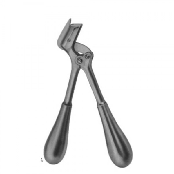 Plaster Shears